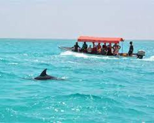 images (5)