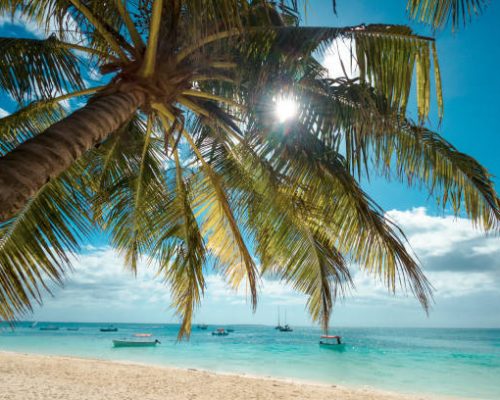 Nature Landscape View of Beautiful Tropical Beach With Palm and Sea in Sunny Day. Zanzibar, Tanzania. Summer Holiday and Vacation Concept.