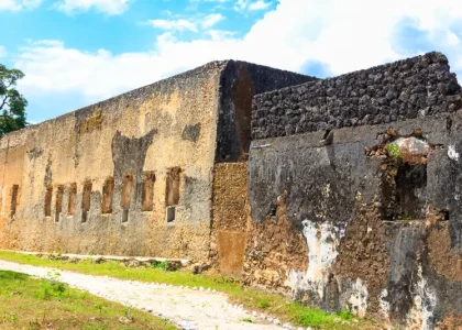 ruins-mtoni-palace-zanzibar-tanzania-ruins-mtoni-palace-zanzibar-tanzania-255653457 ruins-mtoni-palace-zanzibar-tanzania-ruins-mtoni-palace-zanzibar-tanzania-255653457